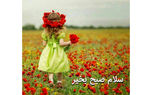 فال ابجد 26 دی 1402 / فیلم